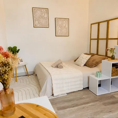 Apartment Le Nid Troyen - & Machine A Laver Troyes